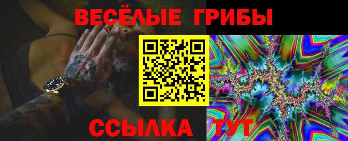 Псилоцибиновые грибы Psilocybine cubensis Лангепас